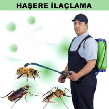19 Mayıs Böcek İlaçlama